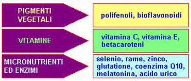 radicali03.gif